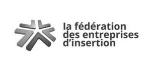 logo federation-entreprises-insertion