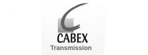 logo cabex