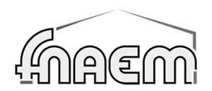 logo fnaem